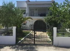 JULIS House