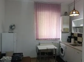 Piata Armatei 1 camera