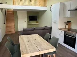Duplex appartement en plein centre