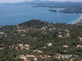 Fanula's view house