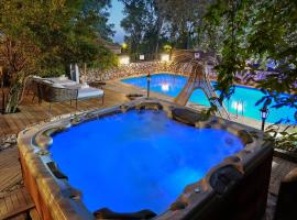 הבית בראש פינה - The House, villa sa Rosh Pinna