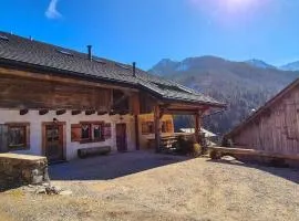 Le Carolien Savoyard - Alp'in C