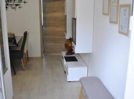 Prenoči&scaron;ča Dany APARTMA 1, alojamiento con cocina en Dravograd