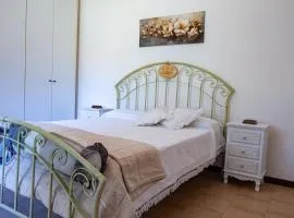 Frami b&b