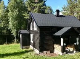 Sjarmerende, hytte på rolig sted i Vrådal med tre minutters gange fra bade & fiskevannet, Nisser