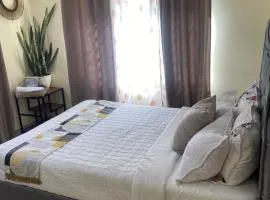 Natulu Apartment Livingstone