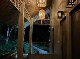 Lucas Rainforest