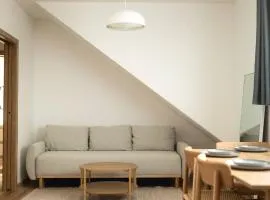 Prostorný podkrovní apartmán s výhledem