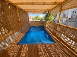 סוויטת הדקל