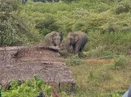 Thumbaya Safari & Farm Resort Yala