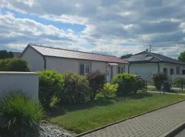 Olšany Home