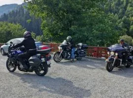 Pensiunea Cabana Viselor ,Apuseni