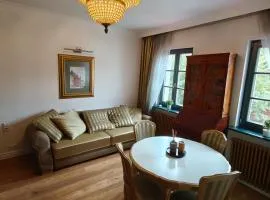 Apartament Dominikańska 6