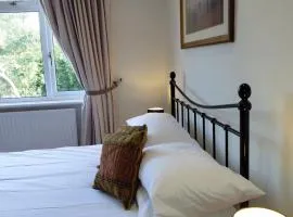 Quiet Professional Room