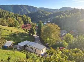 Lexi Zen House
