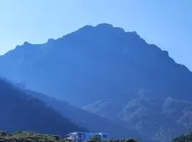 El Color de Mis Rêves