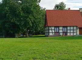 Siedlisko Wilczyny