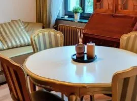 Apartament Dominikańska 6