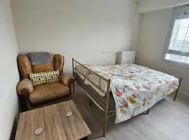 Chambre dans Appartement cetre ville de Tours