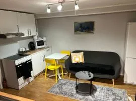 2 Bedroom Apartment Tiller