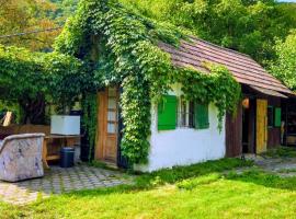 Donauhaus - Natur, Kultur, Entspannung & Sport, βίλα σε Aggsbach