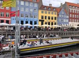 Cozy apartment in central Copenhagen