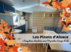 Les Pinots d'Alsace - 3 bungalows climatisés avec TV - Proche Europa Park