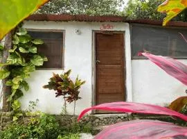 Eco Hotel Amanecer Tayrona