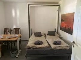 Zwillingsbuche
