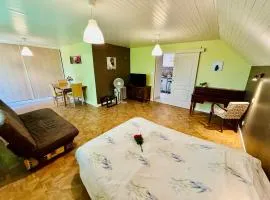 Gîtes Montvaltin - Grand studio villa