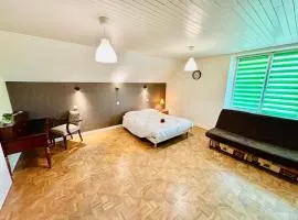 Gîtes Montvaltin - Grand studio villa