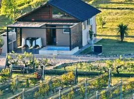 Martyniuk lodges entre viñedos