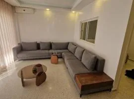 Princière Downtown apartment, Fiber optic