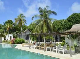 Coral De Fuego Isla Fuerte