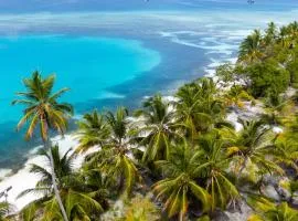 San Blas Cayos Holandeses, Anaimar