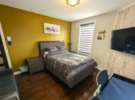 The Modern Stays