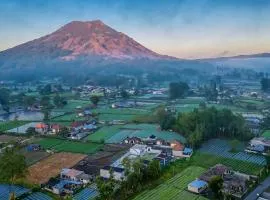 Under Hill Bali Kintamani