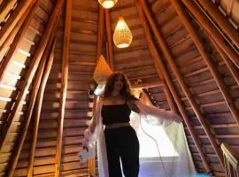 Turtle Wood Cabin