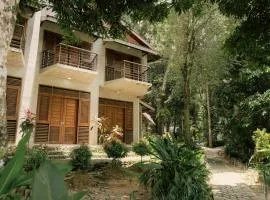 Ecolodge Bukit Lawang