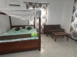 Nashipai house