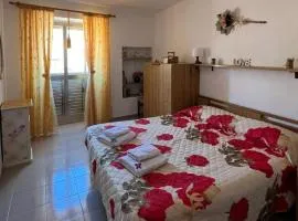 Mario's Sweet Home