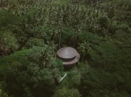 Jungle House Estate