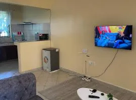 shaz cozy home