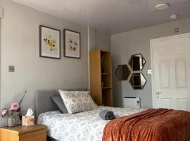 Large and spacious bedroom with en-suite