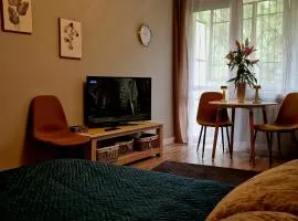Apartament Wapienna