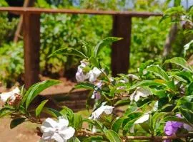 Adisham village agro garden villa