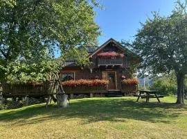 Casa Muchia lui Gîrniță