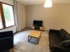 Spacious Apartment for 5