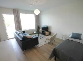 Spacious Apartment for 5