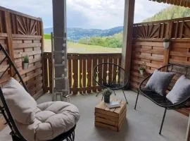 bel appartement avec vue sur lac et piste 4 a 6 pers